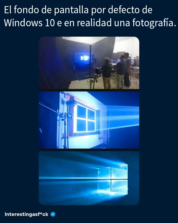 20 Datos tan educativos como interesantes que serán tu ración de conocimientos nuevos de hoy