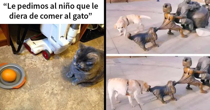 20 De los mejores "intentos fallidos" para echarse unas buenas risas