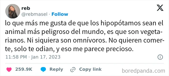20 Divertidos y sarcásticos memes de esta página especializada en ellos