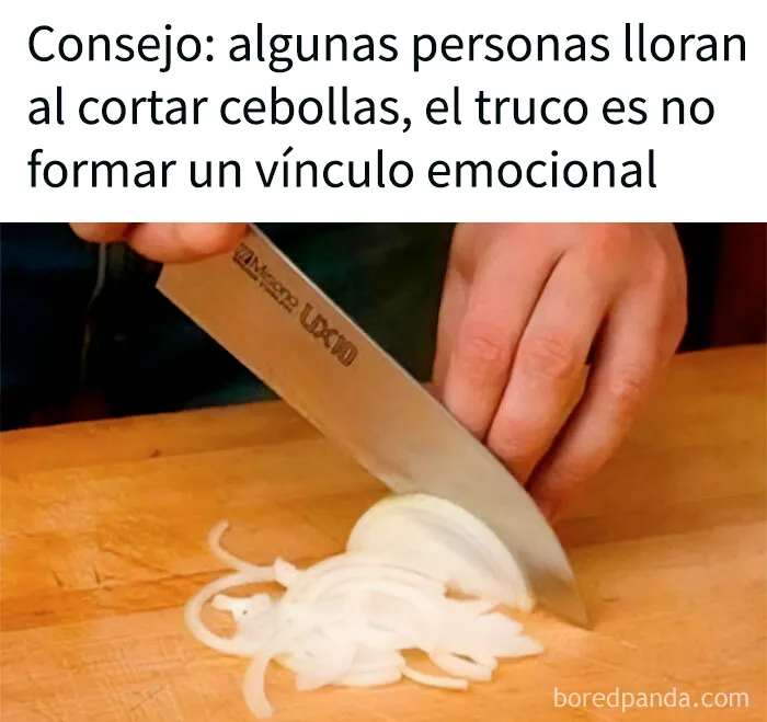 20 Divertidos memes para compartir con tus amigos más sarcásticos