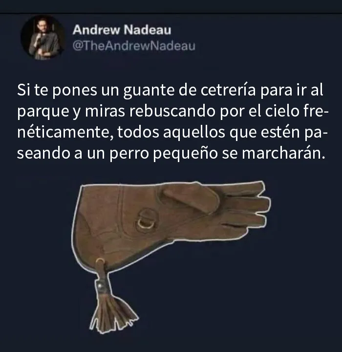 20 Divertidos y sarcásticos memes de esta página especializada en ellos