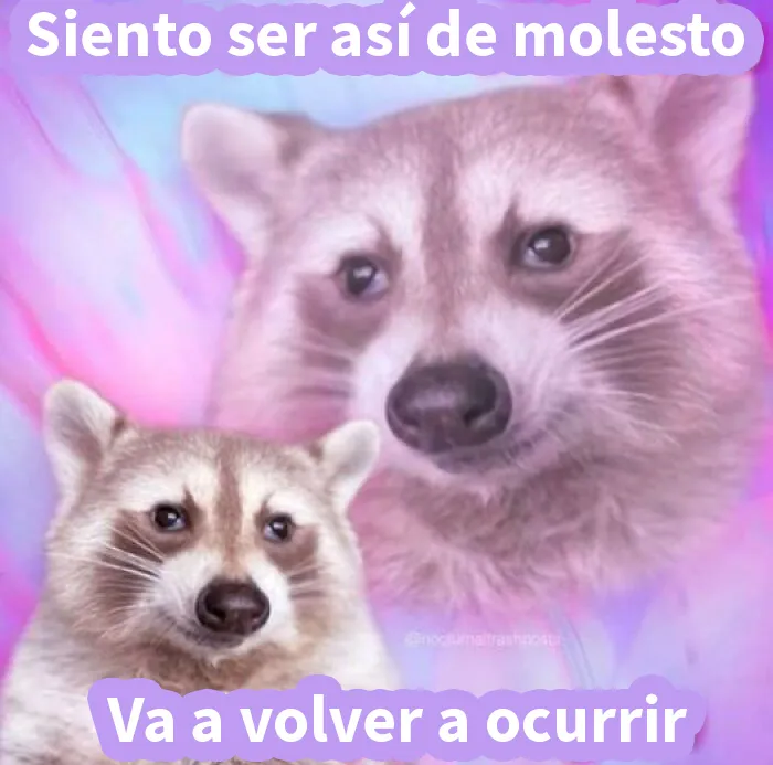 20 Divertidos memes para compartir con tus amigos más sarcásticos