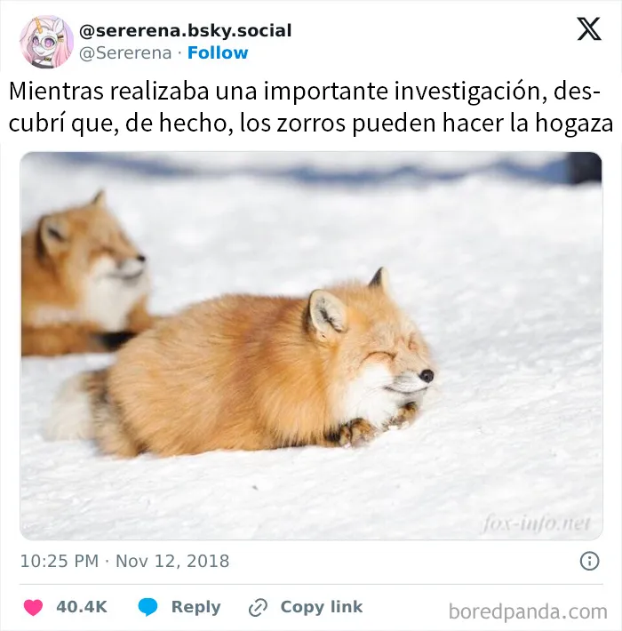 20 Publicaciones geniales de este grupo de FB dedicado al contenido reconfortante
