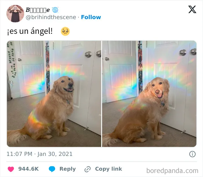 20 Publicaciones geniales de este grupo de FB dedicado al contenido reconfortante