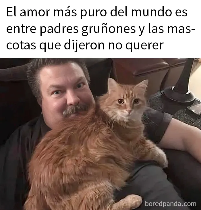 20 Publicaciones geniales de este grupo de FB dedicado al contenido reconfortante