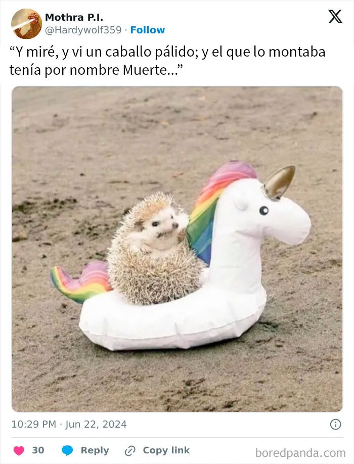 20 Publicaciones geniales de este grupo de FB dedicado al contenido reconfortante