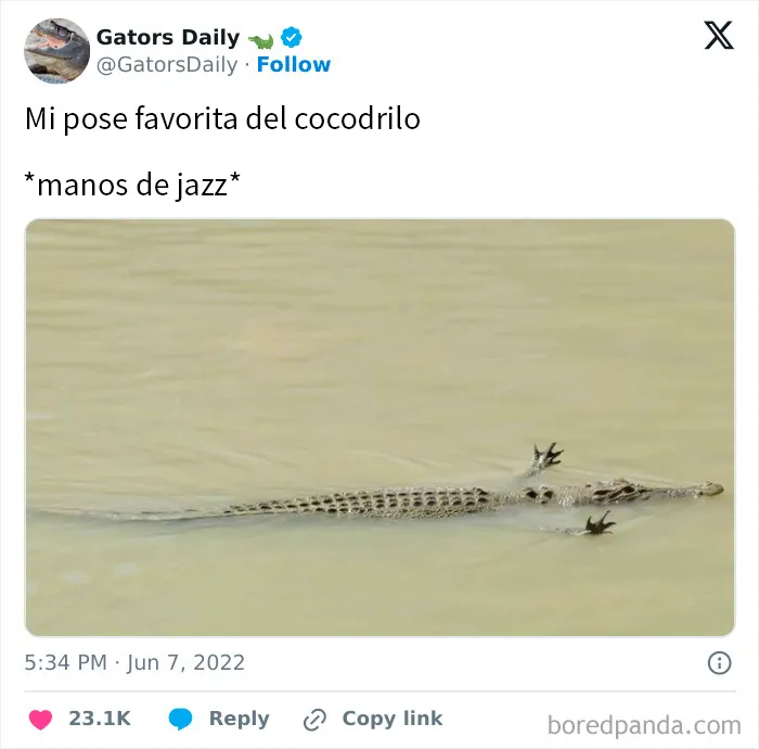 20 Publicaciones geniales de este grupo de FB dedicado al contenido reconfortante