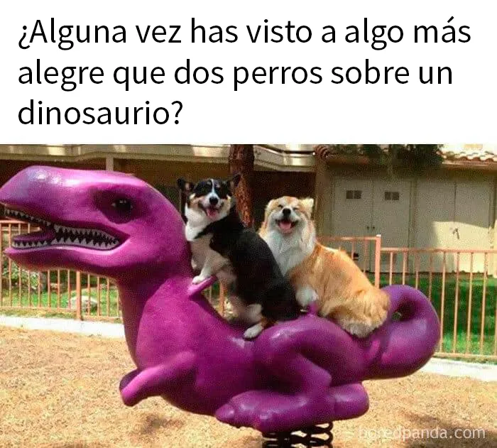 20 Publicaciones geniales de este grupo de FB dedicado al contenido reconfortante
