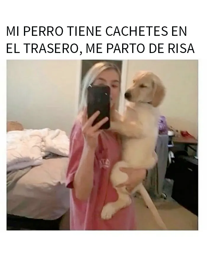 20 Divertidos memes para reírse de lo absurdo