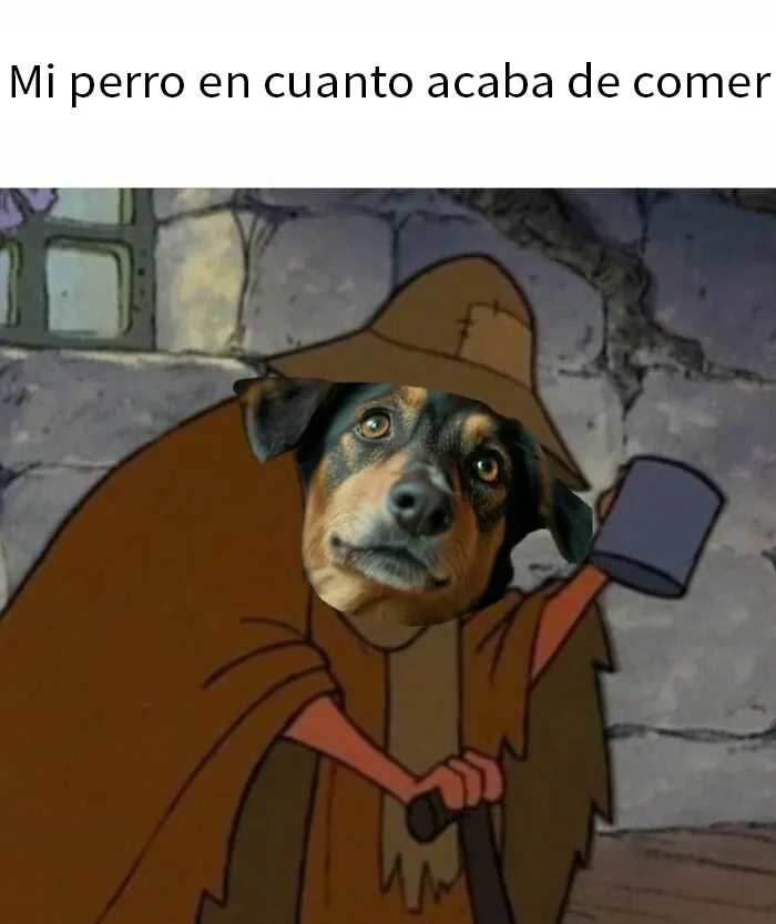 20 Memes absurdos y divertidos para relajar la mente