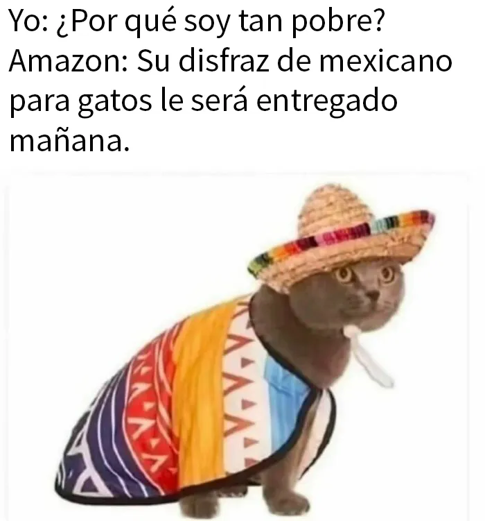 20 Memes absurdos y divertidos para relajar la mente