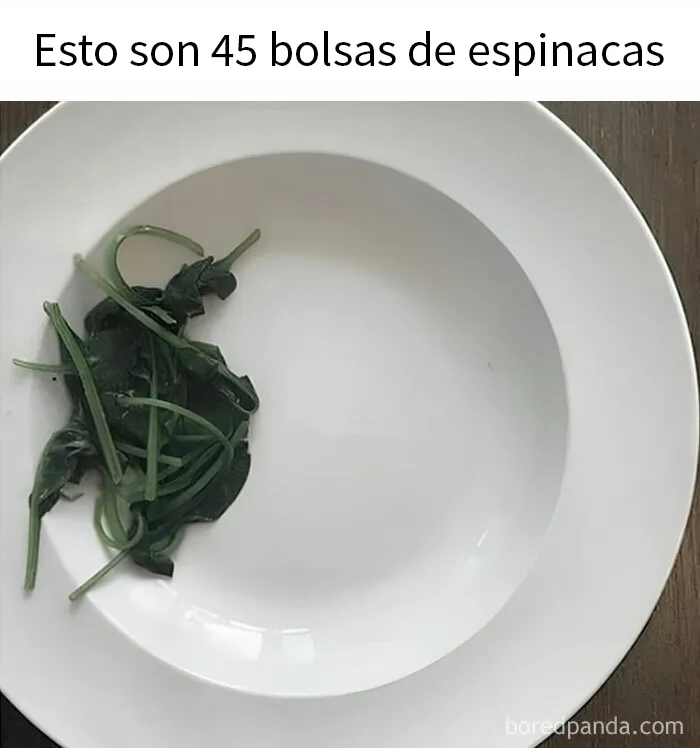 20 Memes absurdos y divertidos para relajar la mente