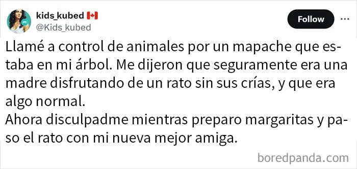 20 Memes absurdos y divertidos para relajar la mente