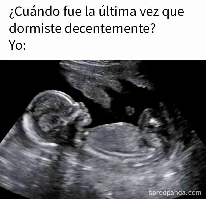 20 Divertidos memes para quien no puede pasar un día sin ellos