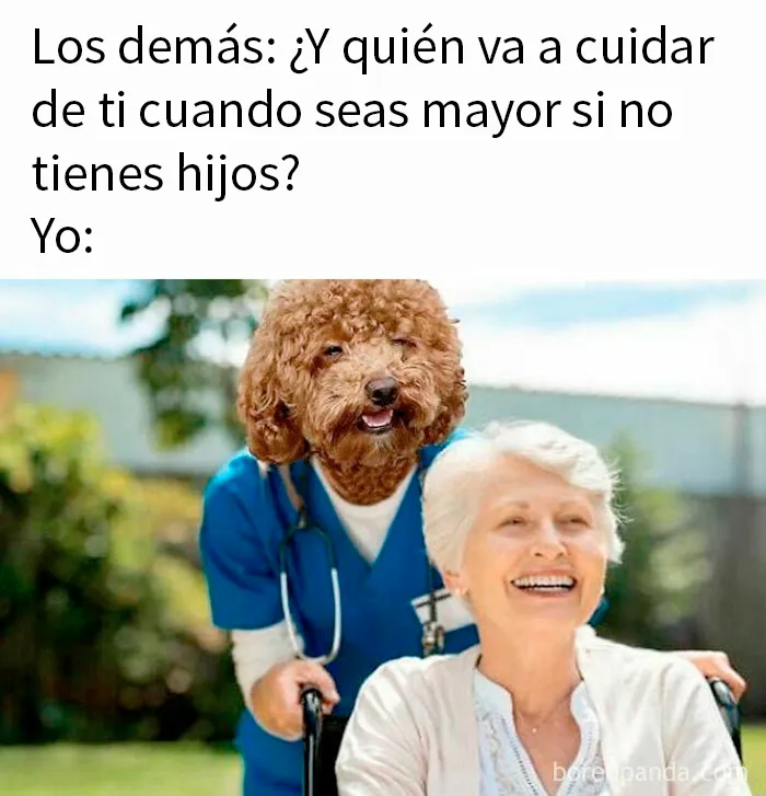 20 Divertidos memes para quien no puede pasar un día sin ellos