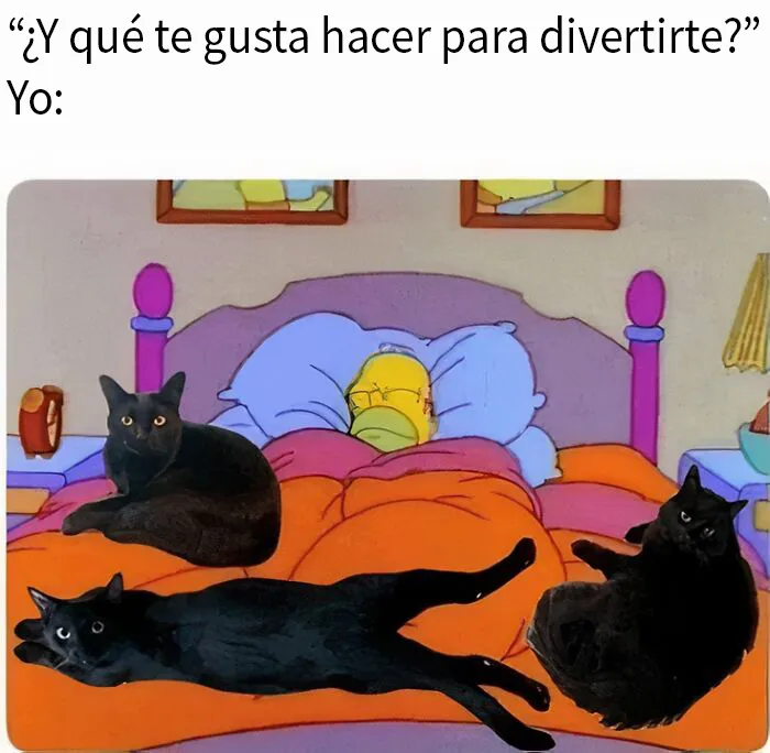 20 Divertidos memes para quien no puede pasar un día sin ellos