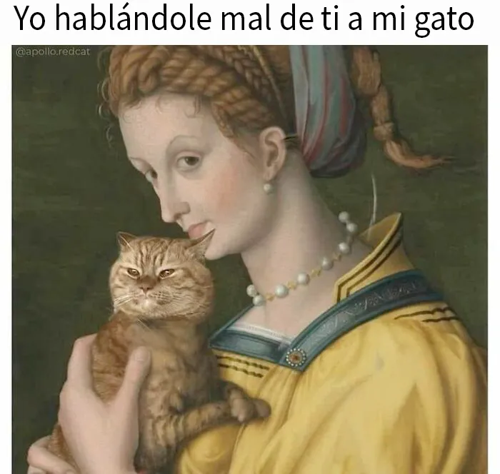 20 Divertidos memes para quien no puede pasar un día sin ellos