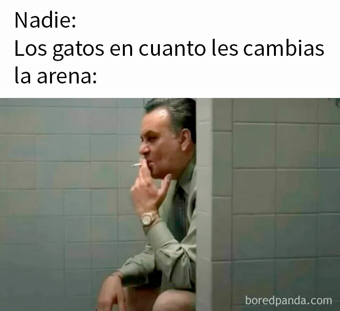20 Divertidos memes para quien no puede pasar un día sin ellos