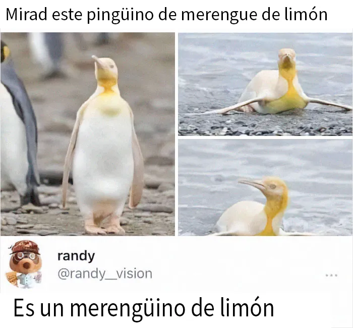 20 Comentarios que son más divertidos que la publicación original
