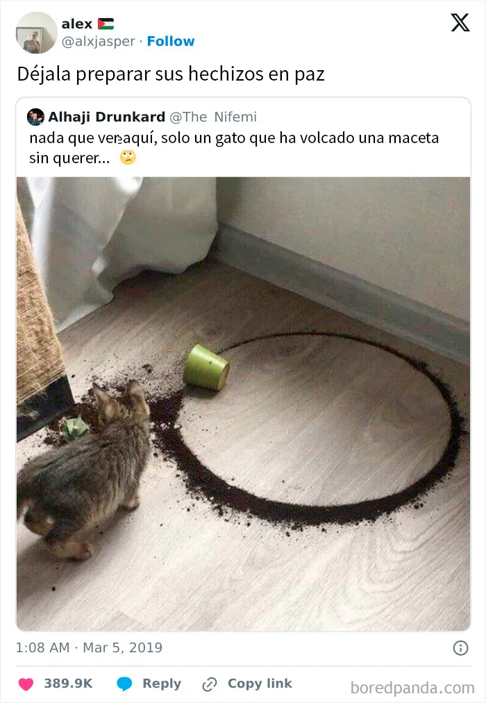 20 Comentarios que son más divertidos que la publicación original