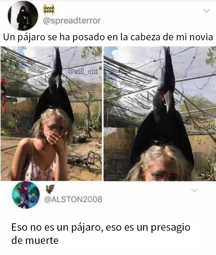20 Comentarios que son más divertidos que la publicación original