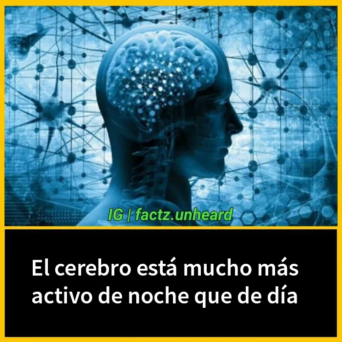 20 Datos interesantes sobre el mundo que quizá no sepas