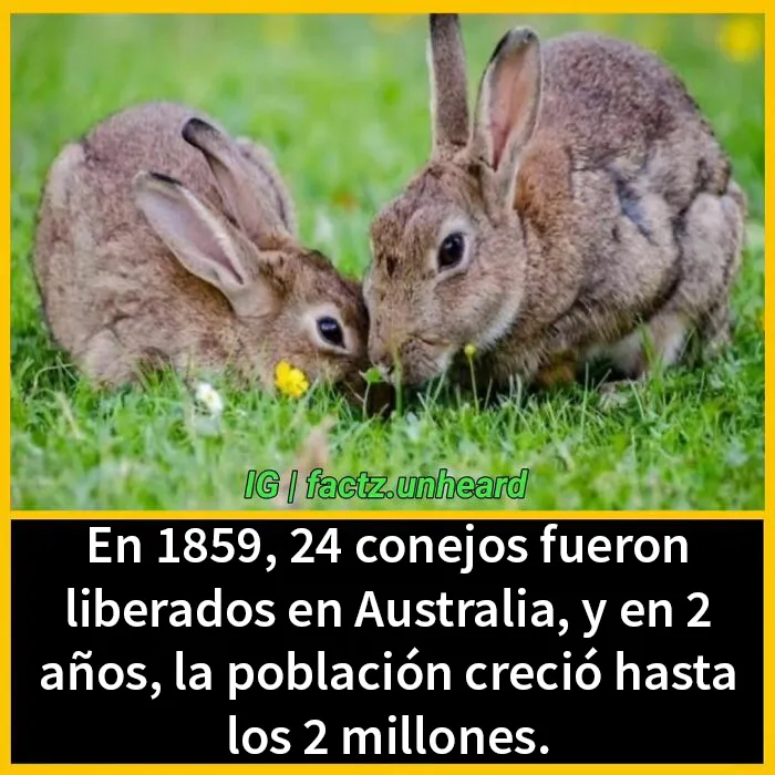 20 Datos interesantes sobre el mundo que quizá no sepas