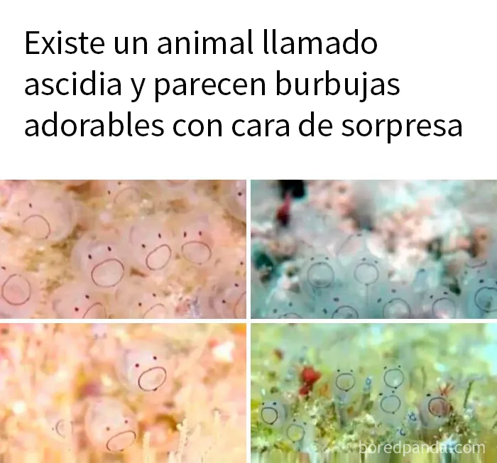 Esta página explora «el lado más oscuro de la ciencia», y aquí hay 20 de sus memes más divertidos