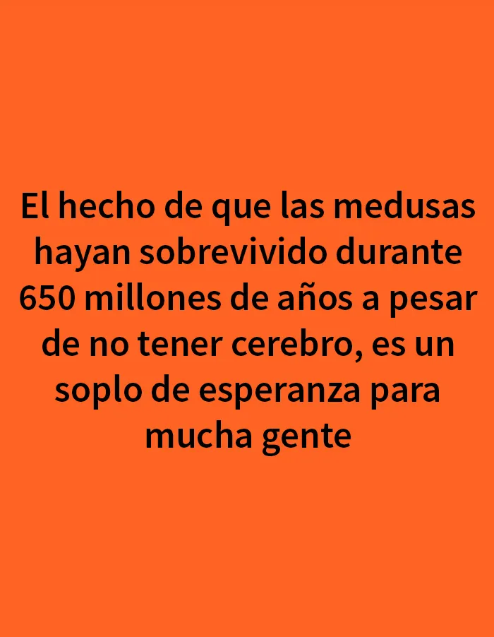 Esta página explora «el lado más oscuro de la ciencia», y aquí hay 20 de sus memes más divertidos