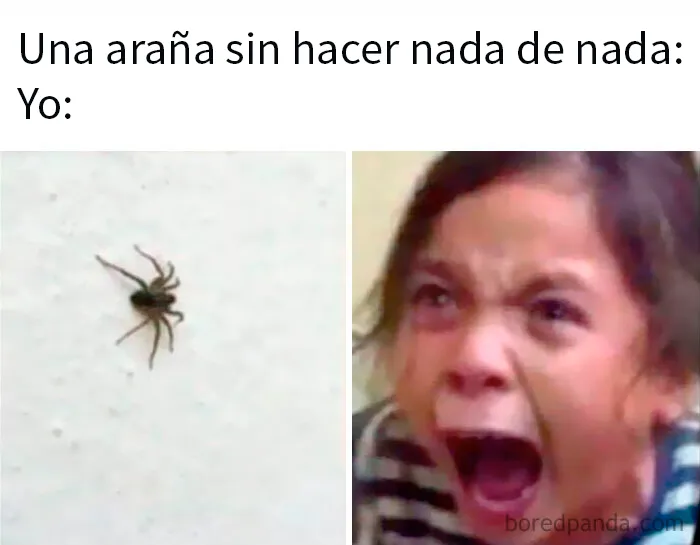 20 Divertidos memes para reírse de lo absurdo