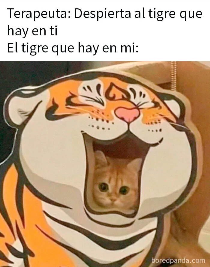 20 Divertidos memes para reírse de lo absurdo