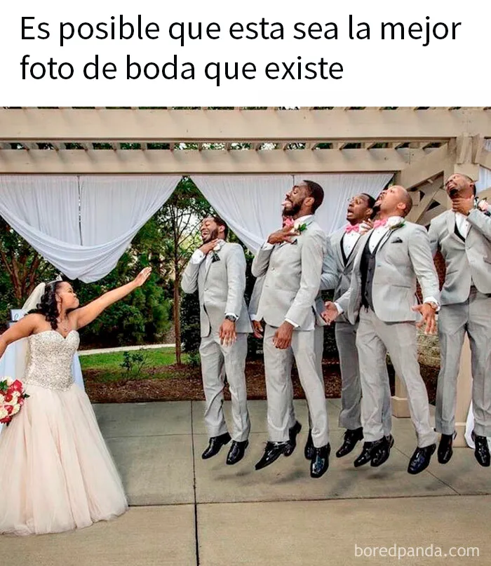 20 Divertidos memes para reírse de lo absurdo