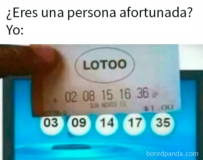 20 Divertidos memes para reírse de lo absurdo