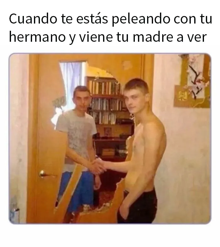 20 Divertidos memes para reírse de lo absurdo