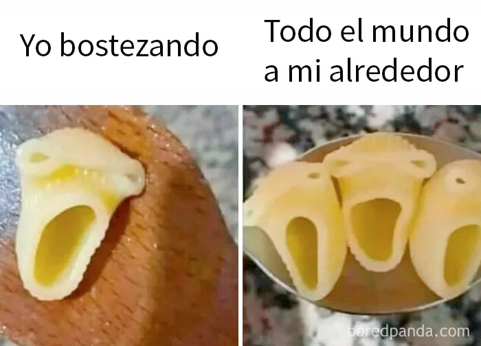 20 Divertidos memes para reírse de lo absurdo