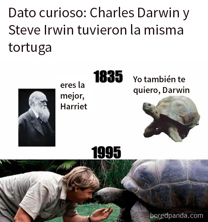 20 Divertidos memes que explican la historia de forma muy distinta a los libros