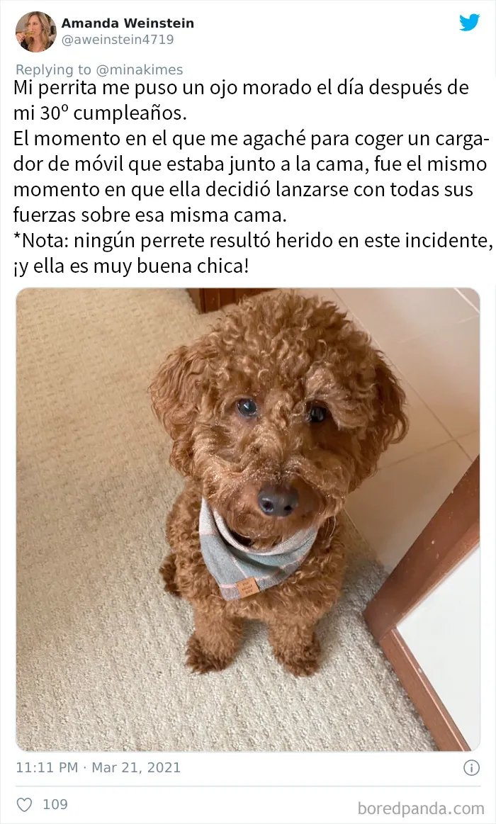 20 Personas que se lesionaron de forma estúpida, y tenían que advertir a los demás
