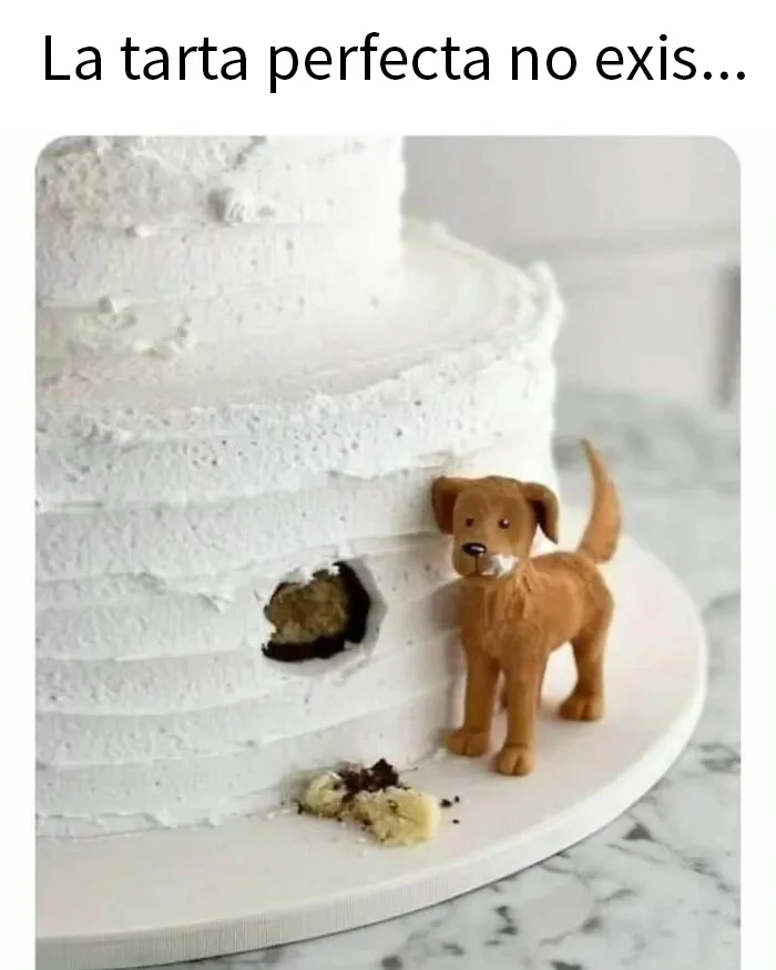 20 Divertidos memes que muestran por qué el perro es nuestro mejor amigo