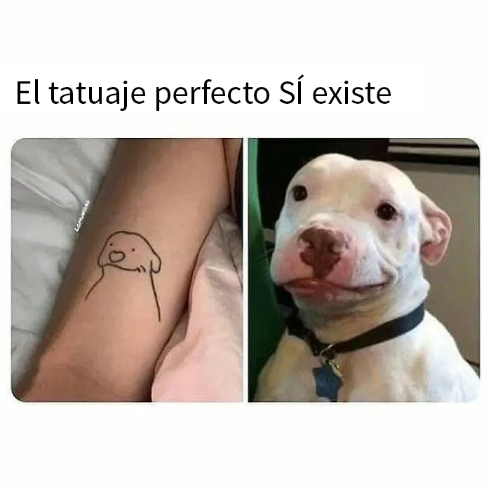 20 Divertidos memes que muestran por qué el perro es nuestro mejor amigo