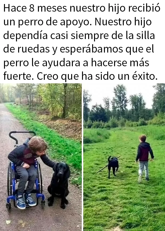 20 Divertidos memes que muestran por qué el perro es nuestro mejor amigo