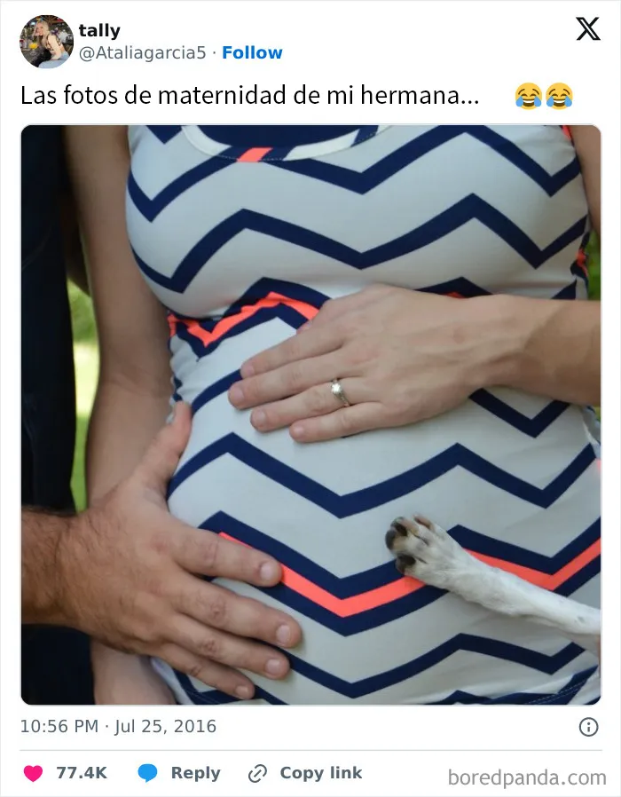 20 Divertidos memes que muestran por qué el perro es nuestro mejor amigo