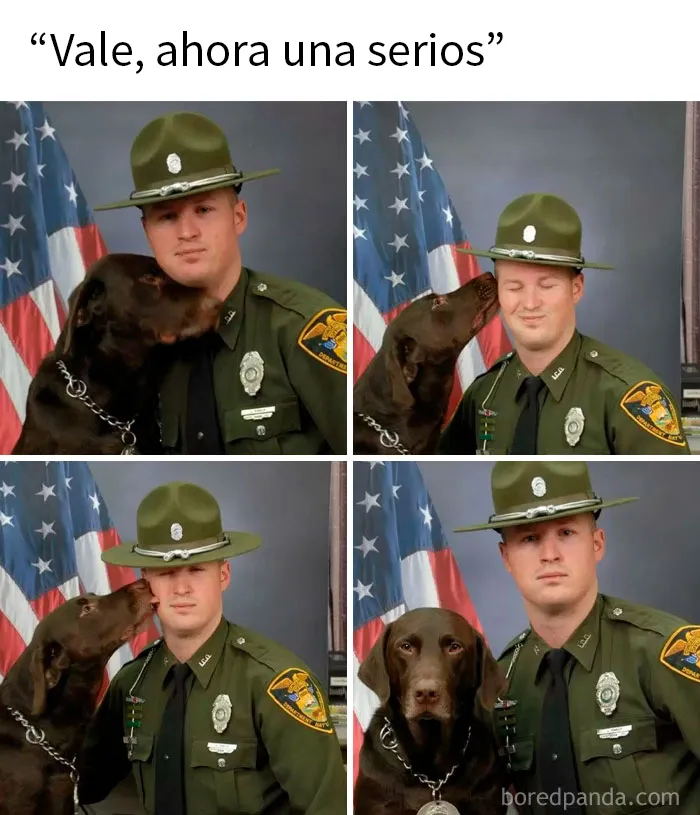 20 Divertidos memes que muestran por qué el perro es nuestro mejor amigo