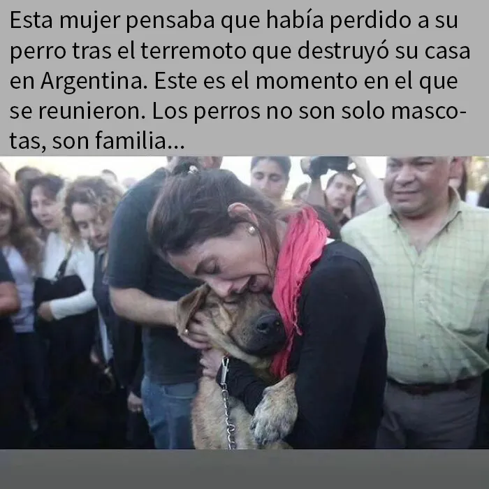 20 Divertidos memes que muestran por qué el perro es nuestro mejor amigo