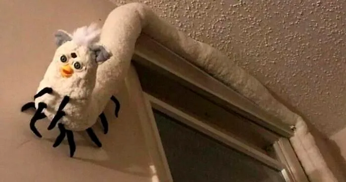 24 Imágenes malditas que van más allá de lo confuso