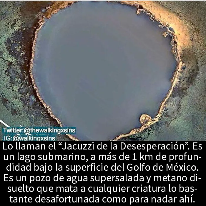 15 Publicaciones que solo se pueden describir como "inquietantes"
