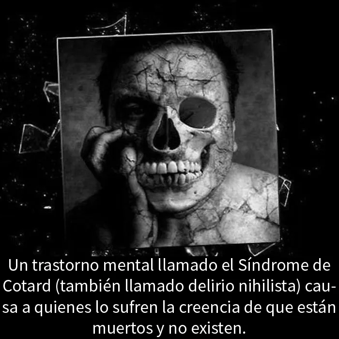 15 Publicaciones que solo se pueden describir como "inquietantes"