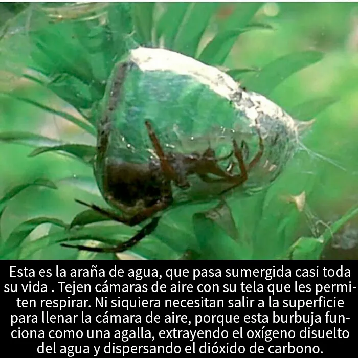 15 Publicaciones que solo se pueden describir como "inquietantes"