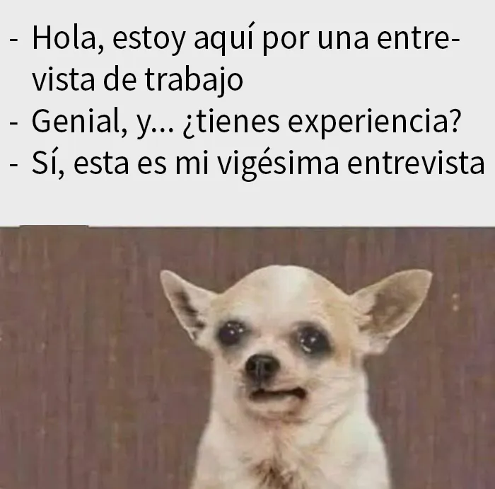 20 Divertidos memes por si estás demasiado cansado para nada más