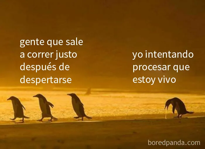 20 Divertidos memes por si estás demasiado cansado para nada más