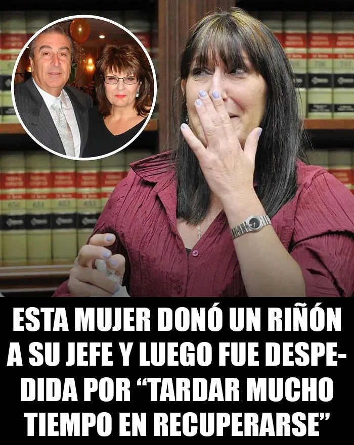 20 Publicaciones sobre lo absurdo del capitalismo y la situación actual de los trabajadores